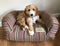The Amberley Dog Sofa Small